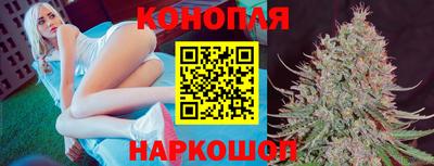 PSILOCYBIN Нальчик
