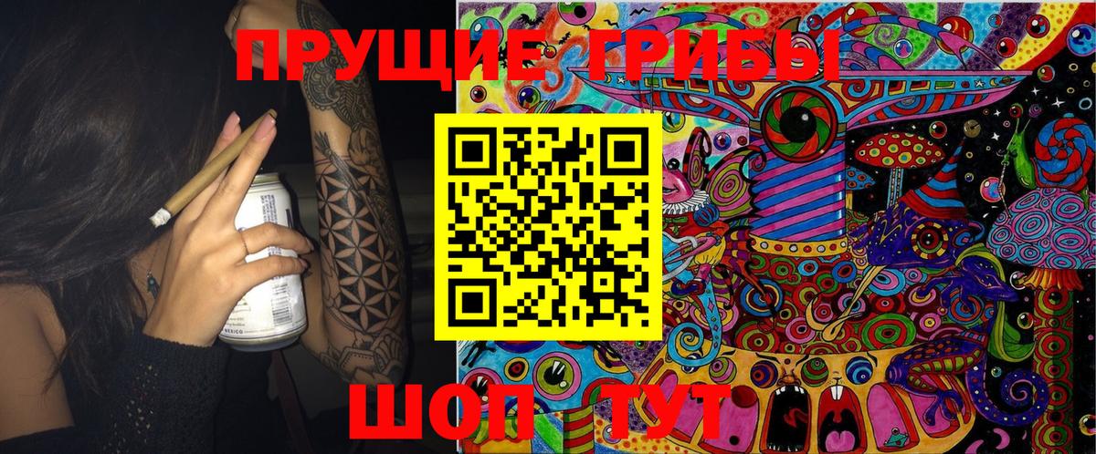 что такое   Псилоцибиновые грибы Psilocybine cubensis  Вход с VPN  Туапсе 