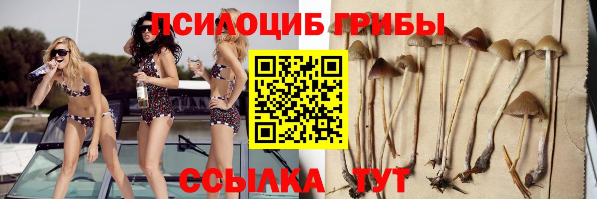 Псилоцибиновые грибы Psilocybine cubensis Туапсе